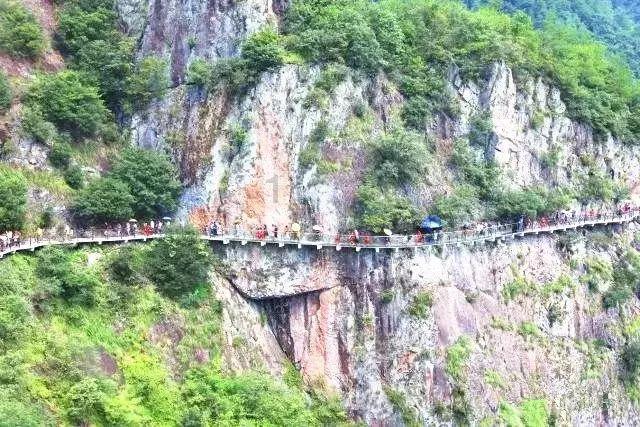 茂密丛林逃生